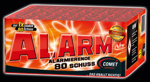 13291 Alarm